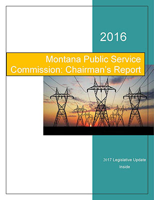 2016 ANNUAL CHAIRMAN'S REPORT