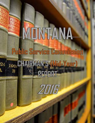 2016 MID-YEAR CHAIRMAN'S REPORT
