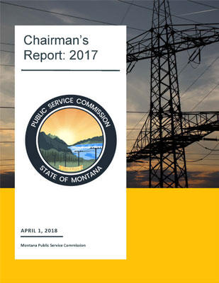 2017 ANNUAL CHAIRMAN'S REPORT