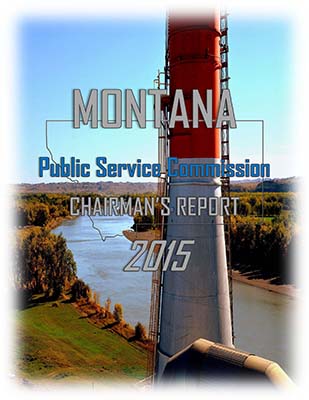 2015 ANNUAL CHAIRMAN'S REPORT